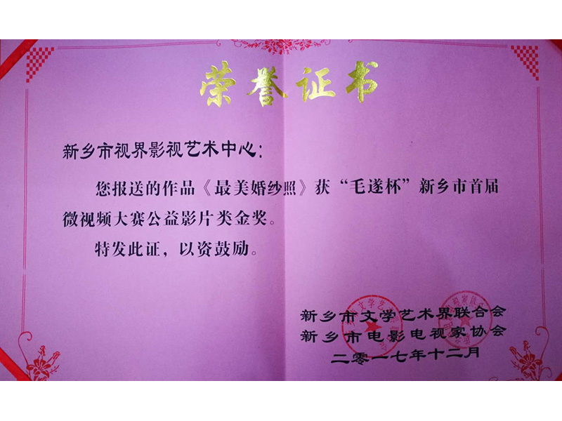 榮譽(yù)證書(shū)：《最美婚紗照》獲金獎(jiǎng)